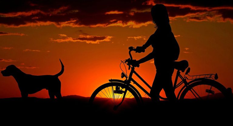 Caminhadas e corridas com cães exigem cuidados e preparação - News Rondônia