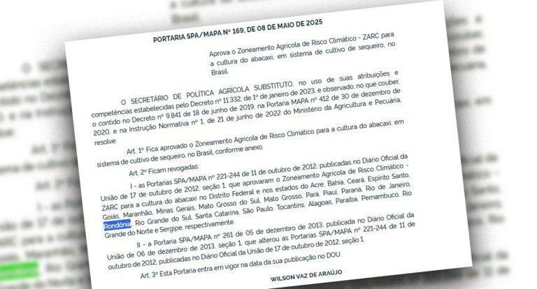 Governo aprova novo zoneamento climático para cultivo do abacaxi em Rondônia - News Rondônia