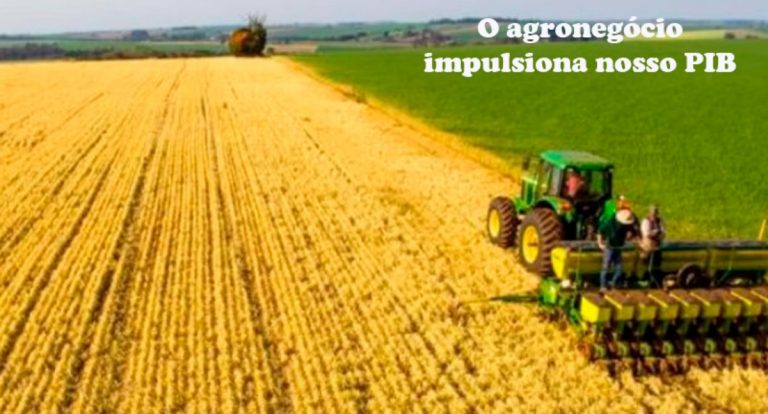 Nossa economia dá um salto! Rondônia comemora segundo maior PIB do país junto com Mato Grosso do Sul - News Rondônia