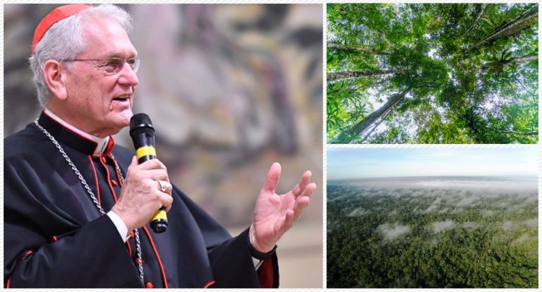 Igreja Católica pode escolher sucessor de Francisco pelo viés ambiental - News Rondônia