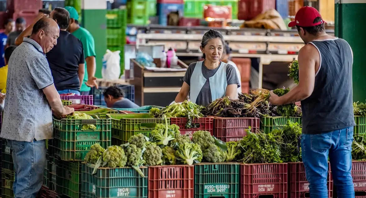 Anvisa inicia novo ciclo de coleta para monitorar agrotóxicos em alimentos consumidos no Brasil