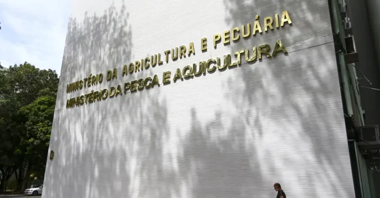Brasil Investiga Sete Casos Suspeitos de Doenças Respiratórias em Aves - News Rondônia