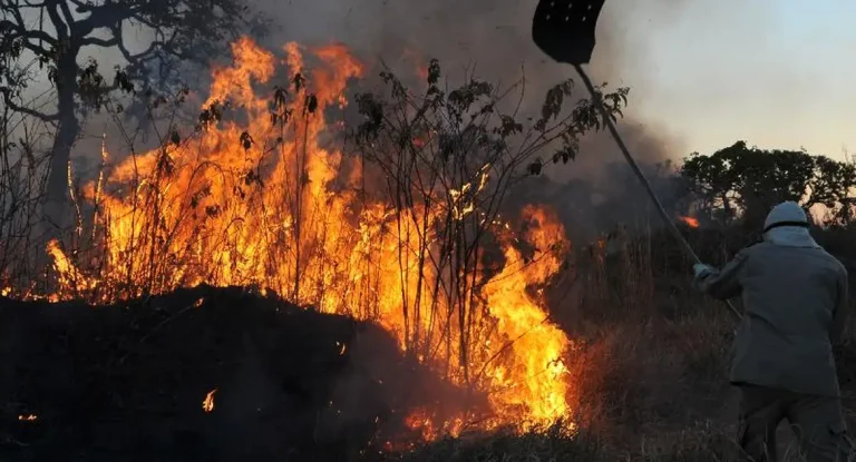 Ibama aponta ação criminosa em incêndios florestais que devastaram 30 milhões de hectares em 2024 e aplica R$ 460 milhões em multas