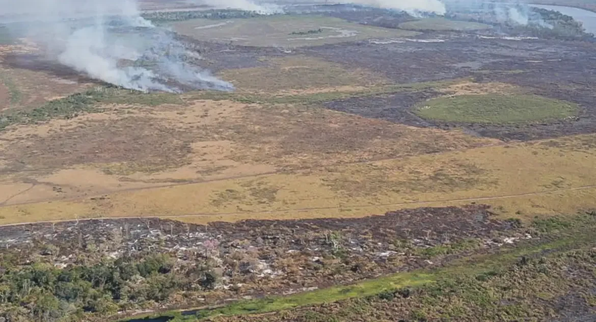 Alertas do Inpe indicam alta de 55% no desmatamento da Amazônia em abril e mobilizam governo para reforçar ações de controle