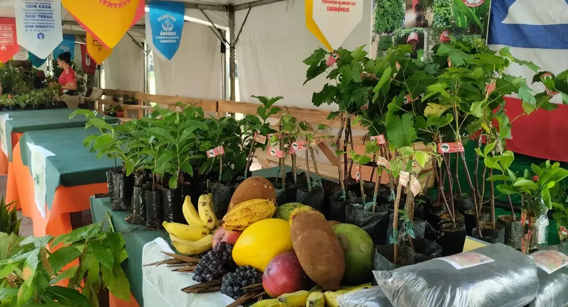Parque da Água Branca recebe 5ª Feira Nacional da Reforma Agrária com 500 toneladas de alimentos e programação cultural