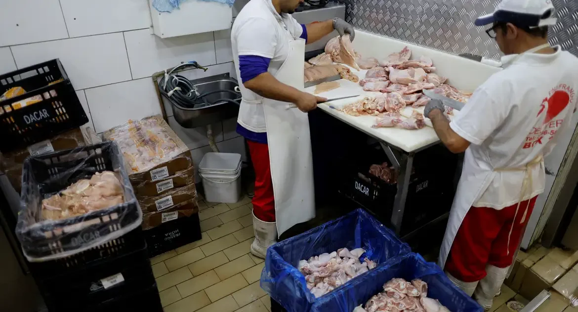 Prazo de 28 dias para Brasil ficar livre da gripe aviária inicia hoje