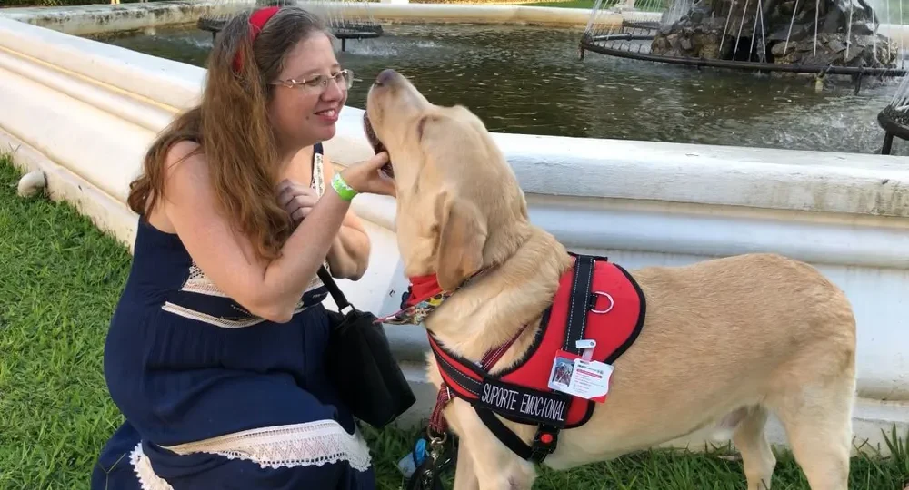 STJ decide que companhias aéreas podem recusar transporte de animais de suporte emocional sem legislação específica