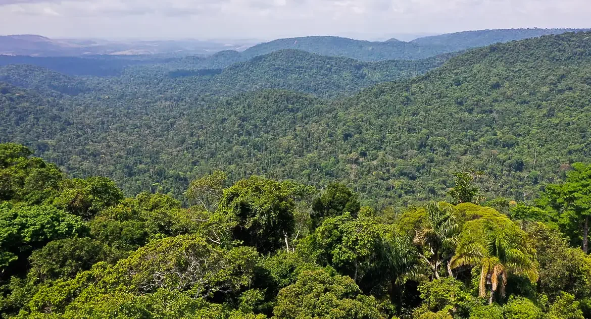 Edital oferece até R$ 10 milhões para pesquisas sobre economia sustentável na Amazônia