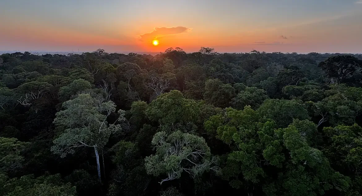 Conferência Nacional do Meio Ambiente 2025 começa com foco na crise climática e transformação ecológica