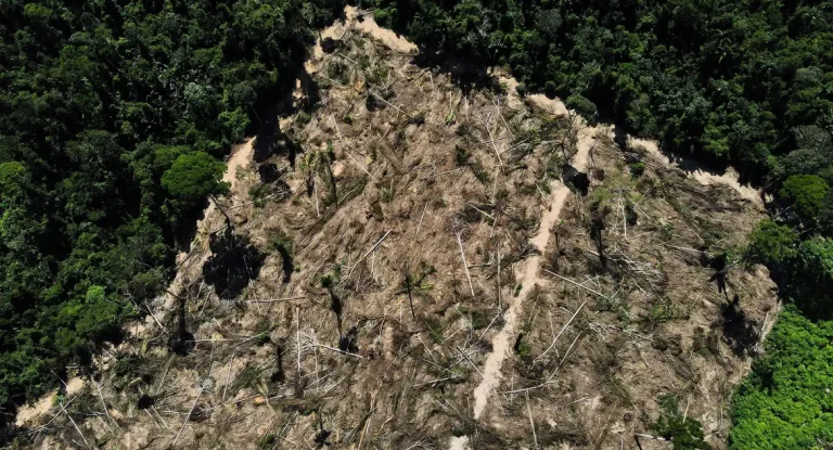 Estudo aponta alto risco de grilagem em 10,2 milhões de hectares de florestas públicas não destinadas na Amazônia, com desmatamento em alta