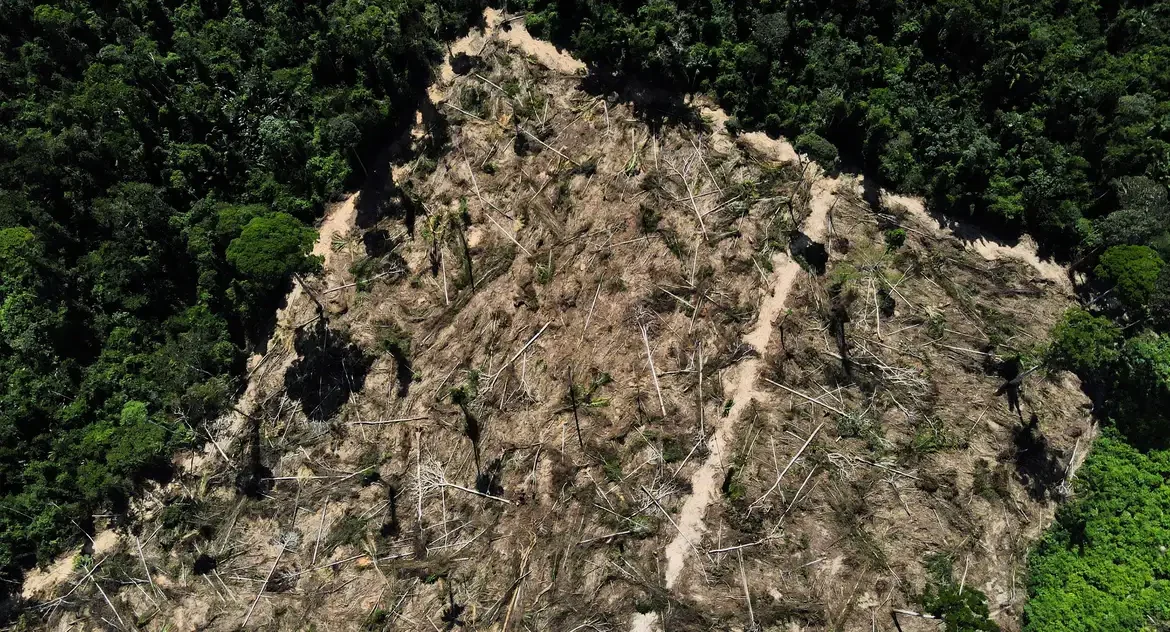 Estudo aponta alto risco de grilagem em 10,2 milhões de hectares de florestas públicas não destinadas na Amazônia, com desmatamento em alta