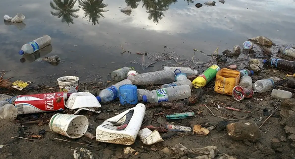 ONU alerta para consumo recorde de plástico e mobiliza ações globais no Dia Mundial do Meio Ambiente