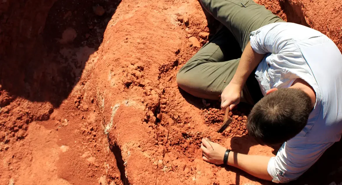 Fóssil descoberto no RS pode representar um dos dinossauros mais antigos do mundo, segundo estudo internacional