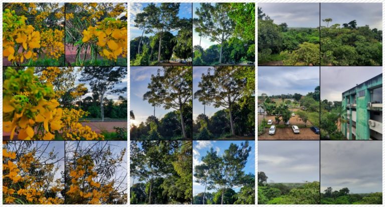 Campus da Unir: natureza e homem conectados no ambiente do ensino superior - News Rondônia