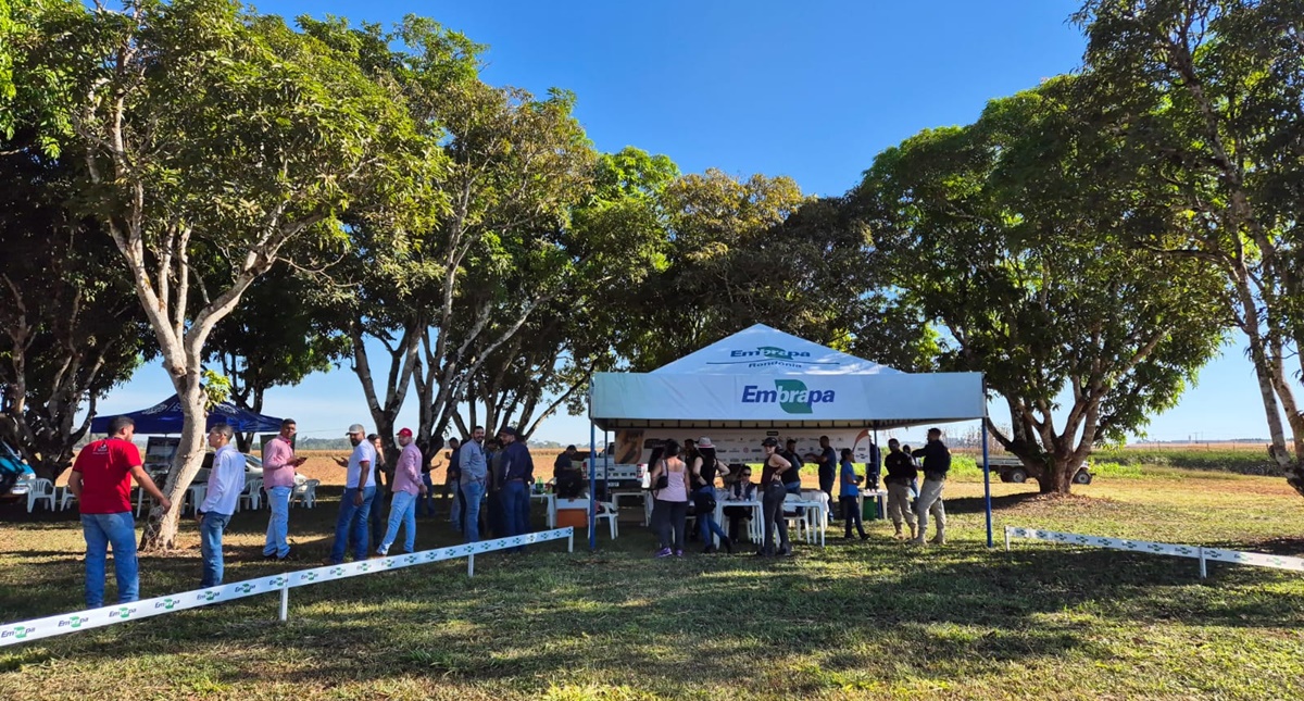 Dia de Campo Safrinha 2025 acontecerá dia 12 de junho em Vilhena - News Rondônia