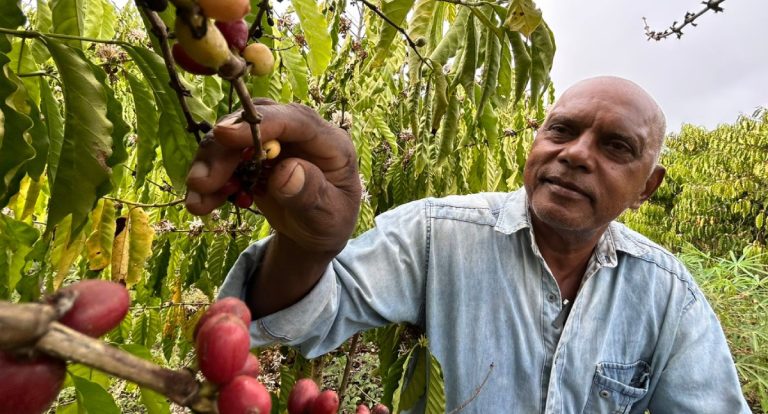 Prefeitura de Porto Velho fortalece escoamento da produção rural com apoio logístico - News Rondônia