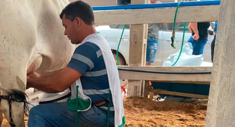 Concurso Leiteiro reconhece produtores rurais e fortalece a pecuária em Cabixi - News Rondônia