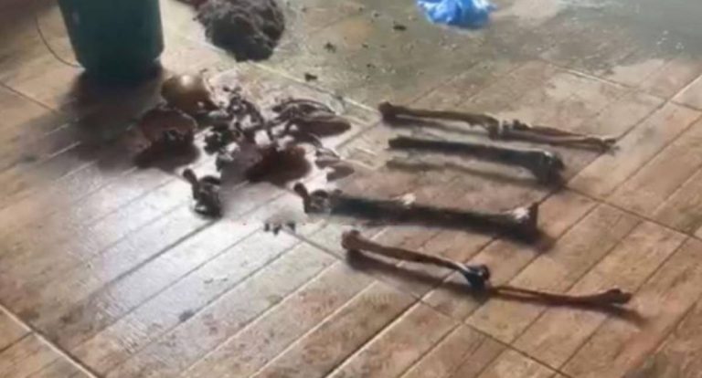 Ossada é encontrada em poço e Polícia Civil investiga homicídio