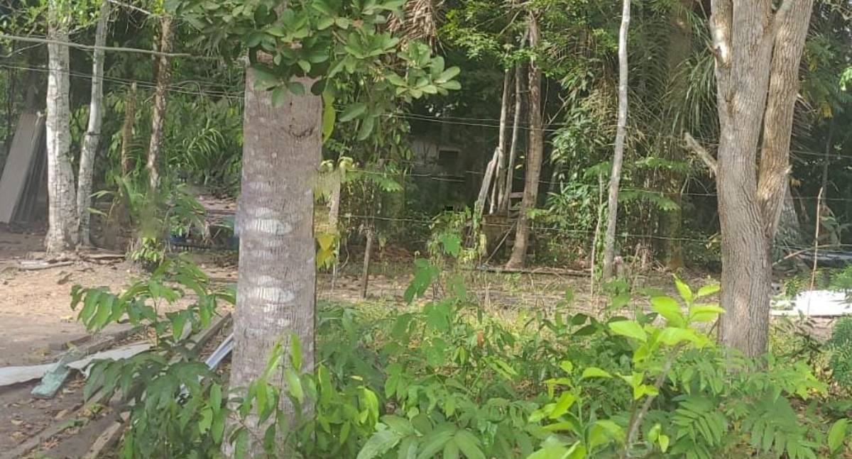 Adolescente de 17 anos é encontrada morta em residência na Zona Leste de Porto Velho