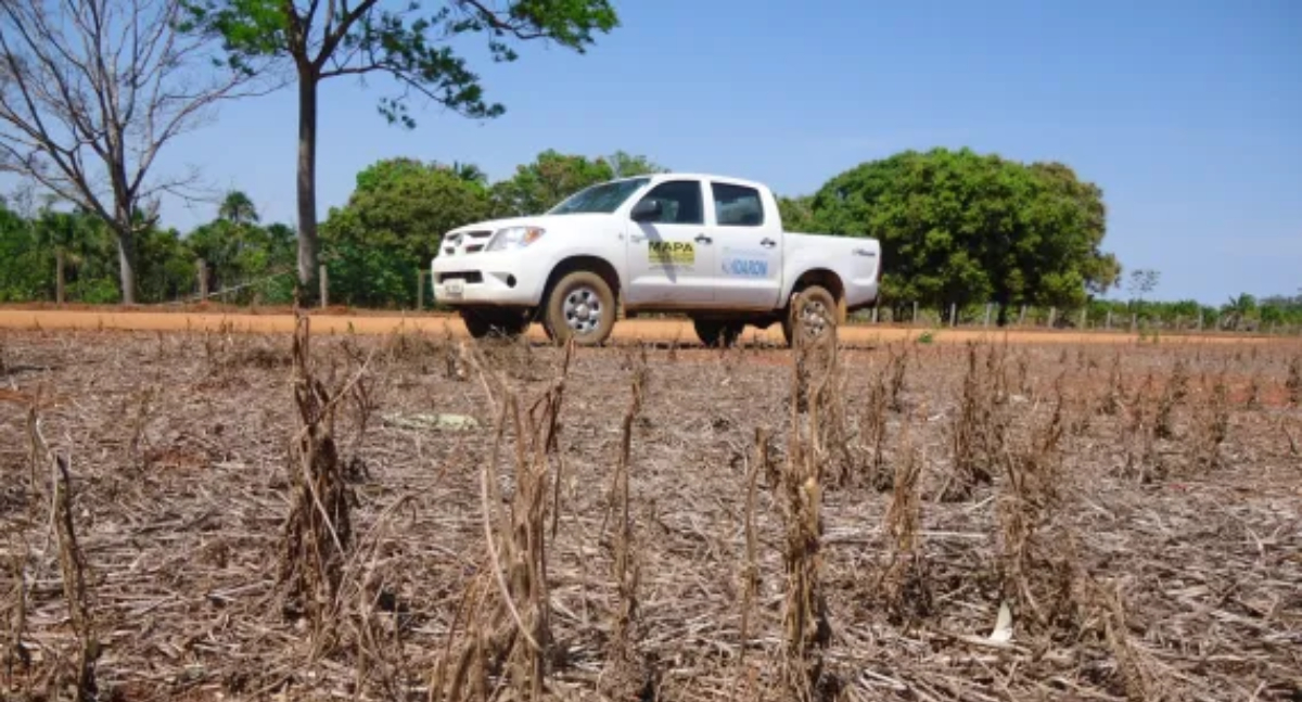 Governo estadual comunica começo do vazio sanitário da soja em Rondônia