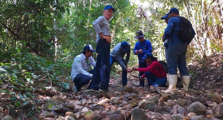 Ação conjunta entre Prefeitura e Usina Jirau incentiva preservação e sustentabilidade - News Rondônia
