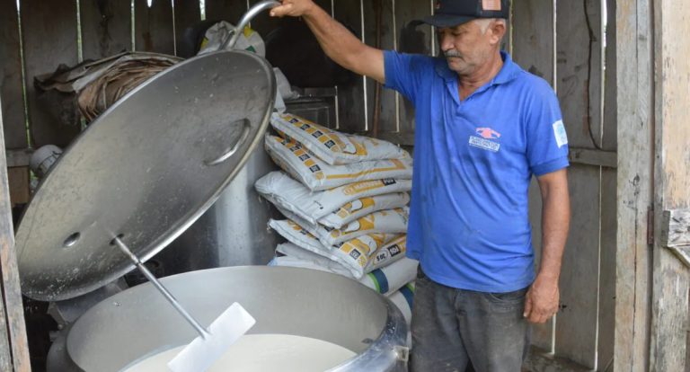 Legislação impulsiona a produção agrícola e fortalece cadeias do leite e do café em Rondônia - News Rondônia