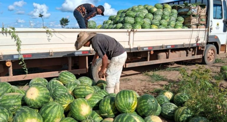 Mais de 136 toneladas de alimentos são transportados pela Prefeitura em apoio aos produtores rurais de Porto Velho - News Rondônia