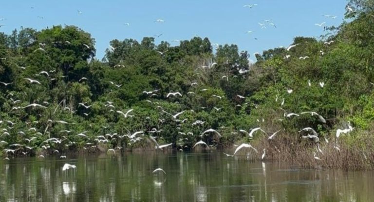 Resex Lago do Cuniã recebe novas iniciativas da Prefeitura para fortalecer o turismo de base comunitária - News Rondônia