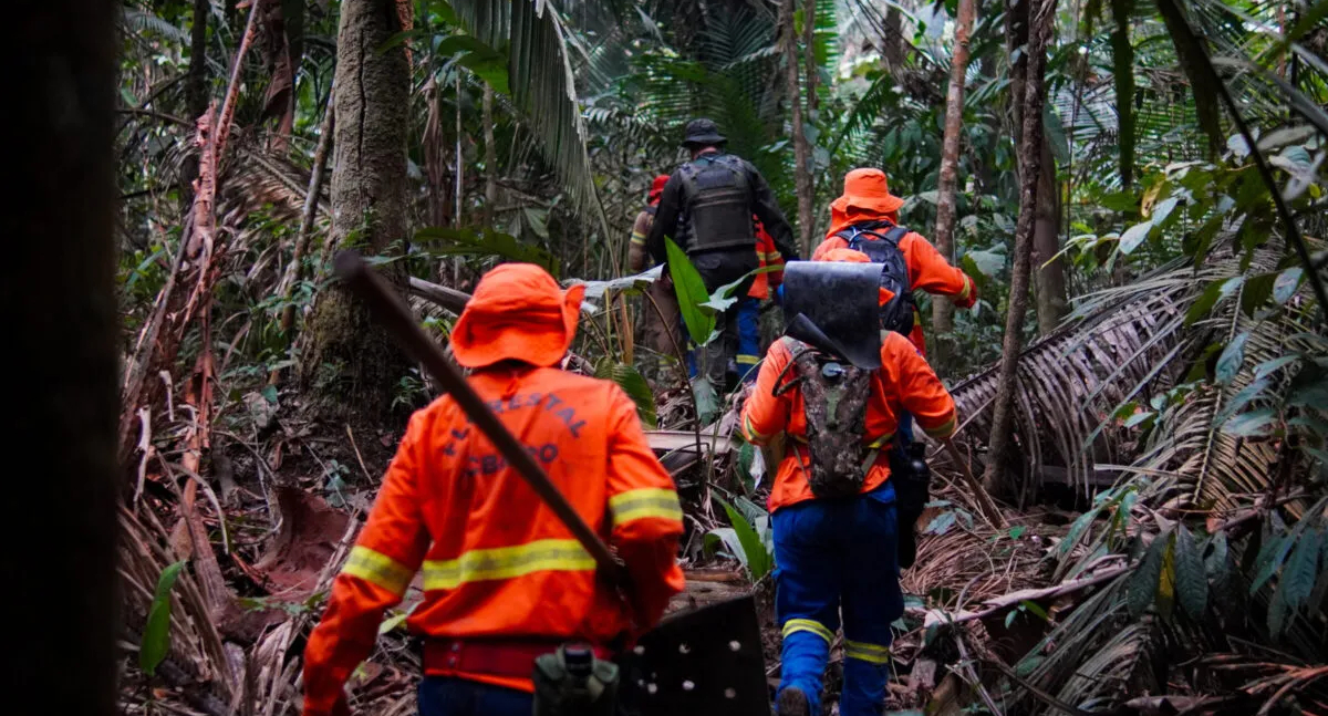 Rondônia fortalece ações preventivas e se prepara melhor para enfrentar incêndios florestais em 2025