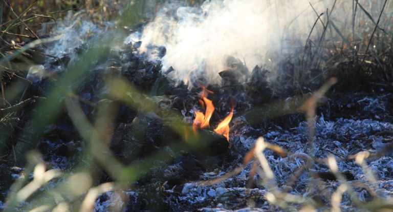 Prefeitura de Porto Velho lança chamamento público para ações de combate a incêndios no verão amazônico - News Rondônia