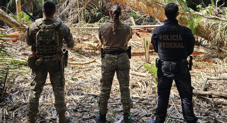 PF deflagra operação contra crimes ambientais em Terra Indígena em Rondônia
