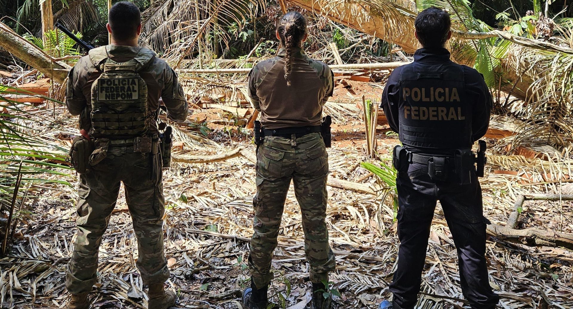 PF deflagra operação contra crimes ambientais em Terra Indígena em Rondônia