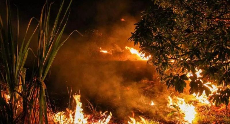 Homem é detido após provocar incêndio em terreno baldio em Rondônia