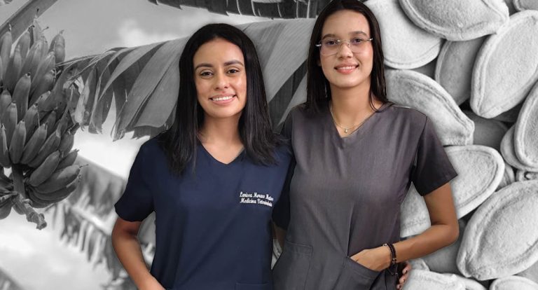 Pesquisa no Acre usa sementes de abóbora e folhas de bananeira para virar "remédio de boi" - News Rondônia