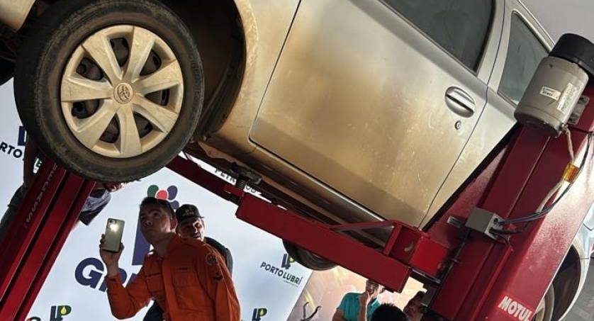 Cobra é resgatada do para-choque de carro e devolvida à natureza