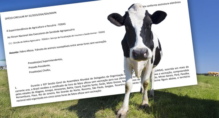 Com área livre de aftosa, trânsito de bovinos está liberado entre RO e todos os estados brasileiros - News Rondônia