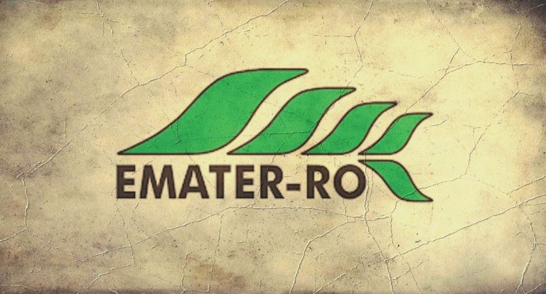 Bônus de R$ 1.850: Governador decreta gratificação para servidores da Emater - News Rondônia