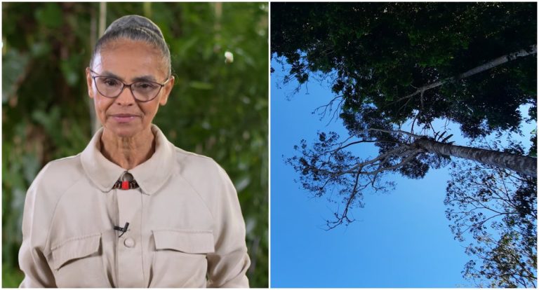 Dia Mundial do Meio Ambiente: Marina Silva diz que o governo não vai tolerar que se passe por cima das leis ambientais - News Rondônia