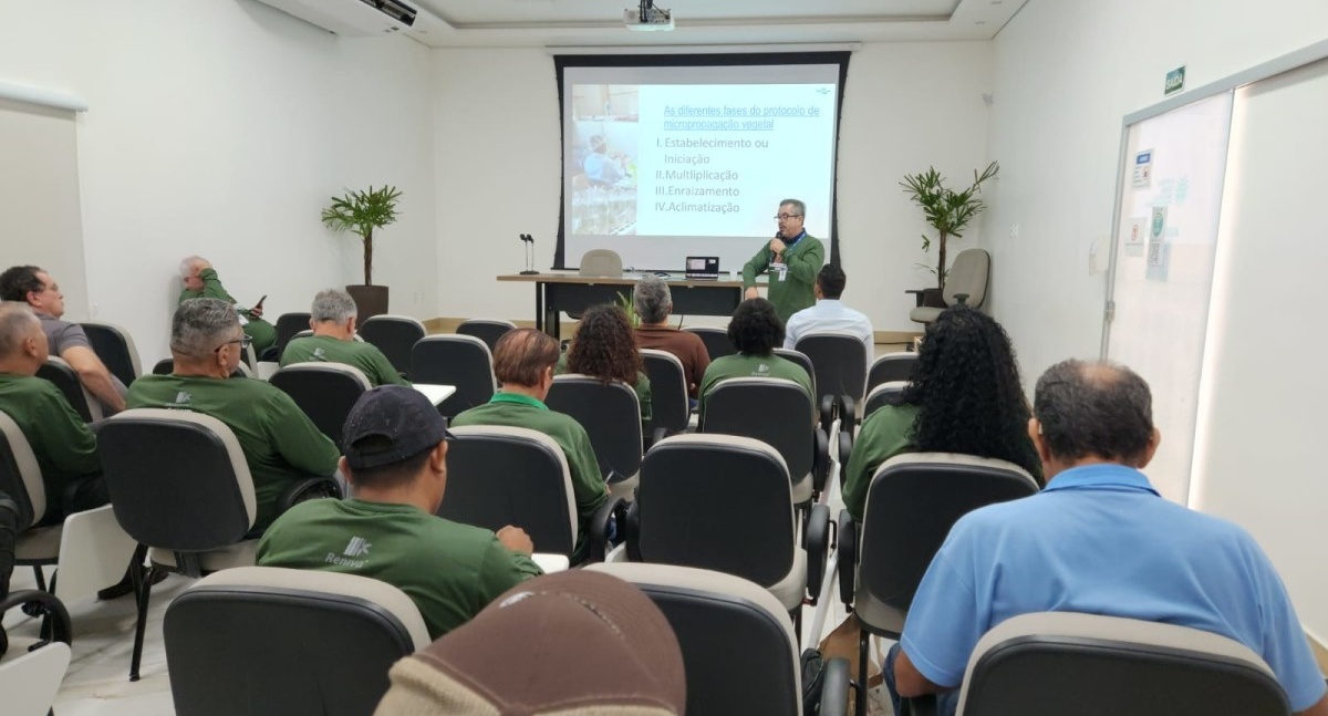 II Encontro de Mandiocultores promovido pela Prefeitura de Porto Velho busca fortalecer a produção de mandioca nos distritos