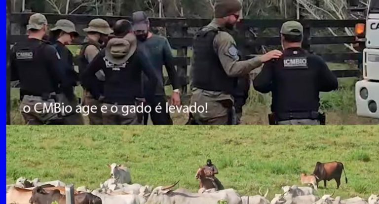 Produtores, mesmo desesperados, precisam ter resiliência e união, nesta guerra declarada contra eles