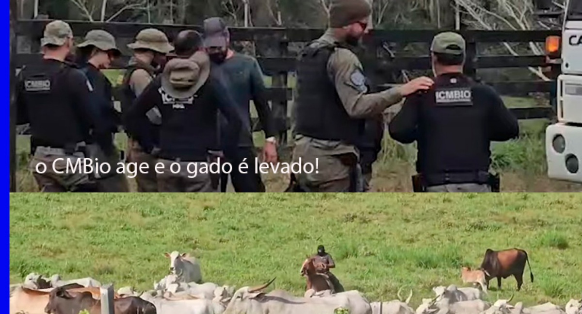 Produtores, mesmo desesperados, precisam ter resiliência e união, nesta guerra declarada contra eles