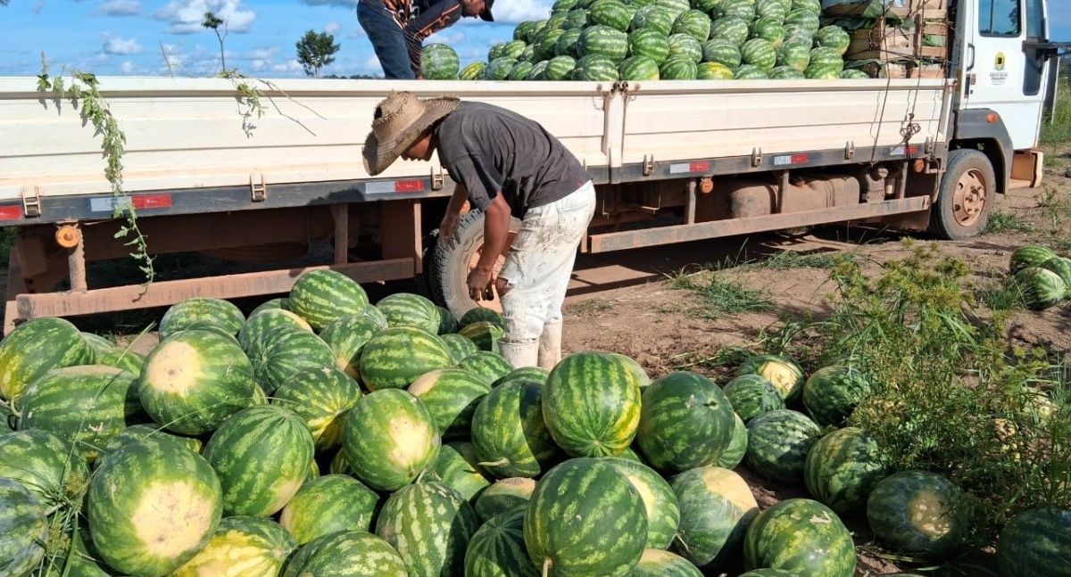 Prefeitura de Porto Velho realiza transporte de mais de 136 toneladas de alimentos em apoio aos produtores rurais
