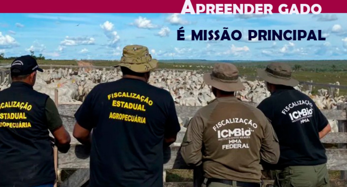 O CMBIO é apenas mais uma excrescência no aparelhamento do estado contra os produtores brasileiros