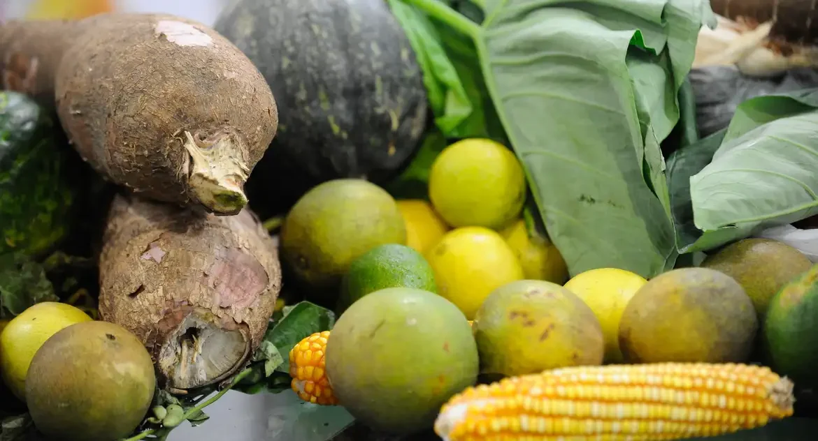 Custo da cesta básica cai em 15 capitais em maio, mas acumula alta em 12 meses, segundo Dieese