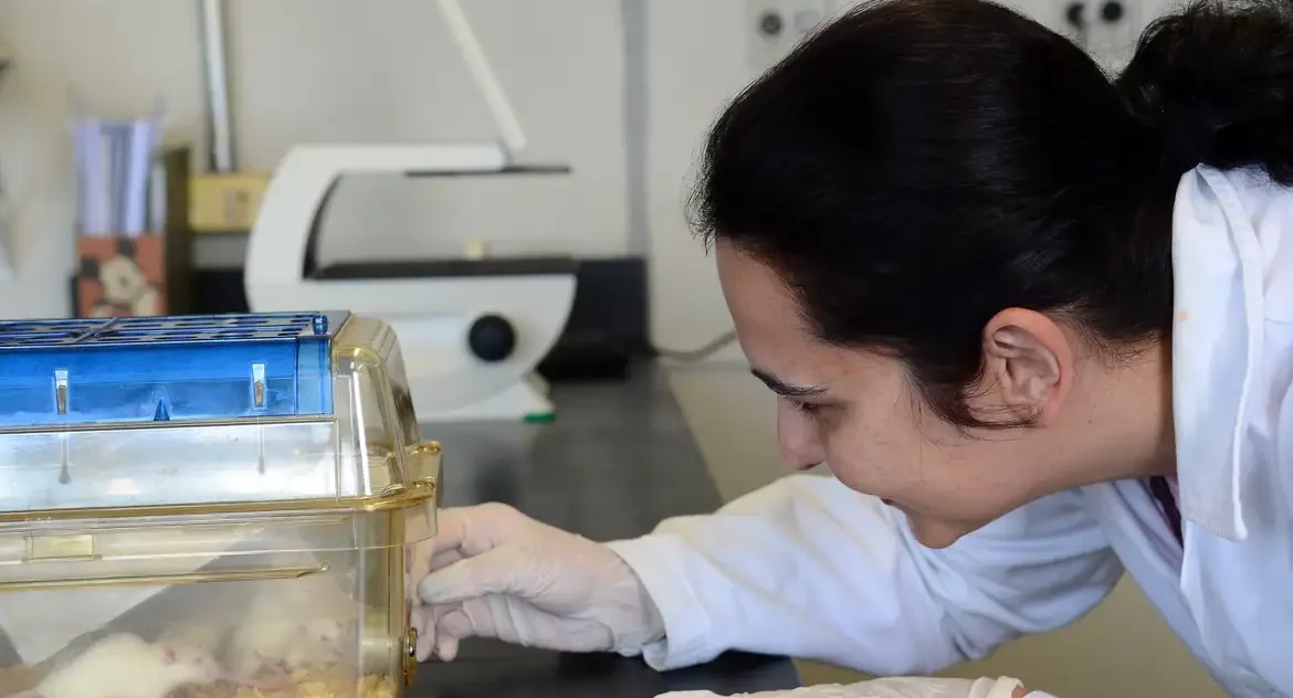 Biofabricação de tecidos humanos revoluciona testes de toxicidade de medicamentos no Brasil