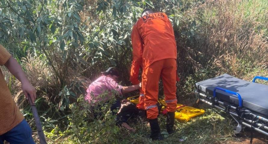 Idoso com Alzheimer desaparecido é encontrado vivo em plantação após quatro dias