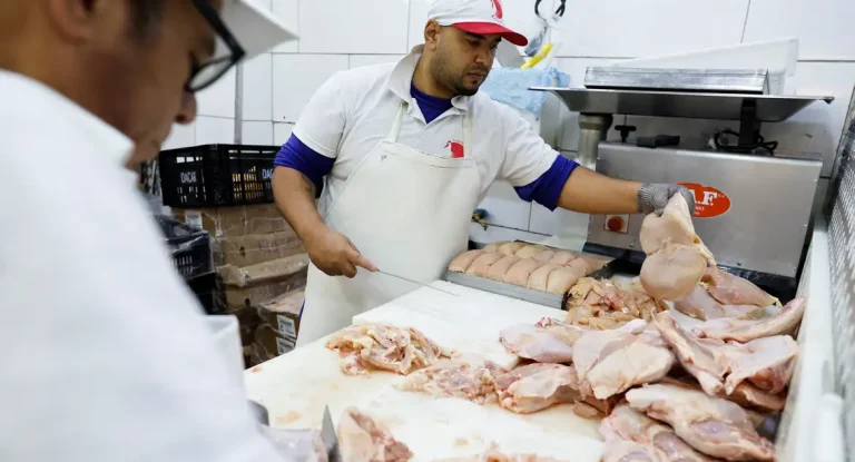 Dezessete países retiram restrições à importação de carne de Aves do Brasil após Gripe Aviária