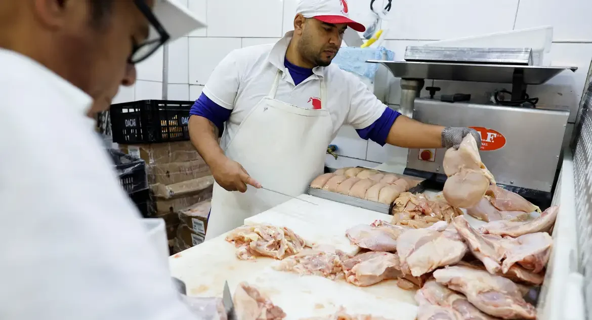 Dezessete países retiram restrições à importação de carne de Aves do Brasil após Gripe Aviária