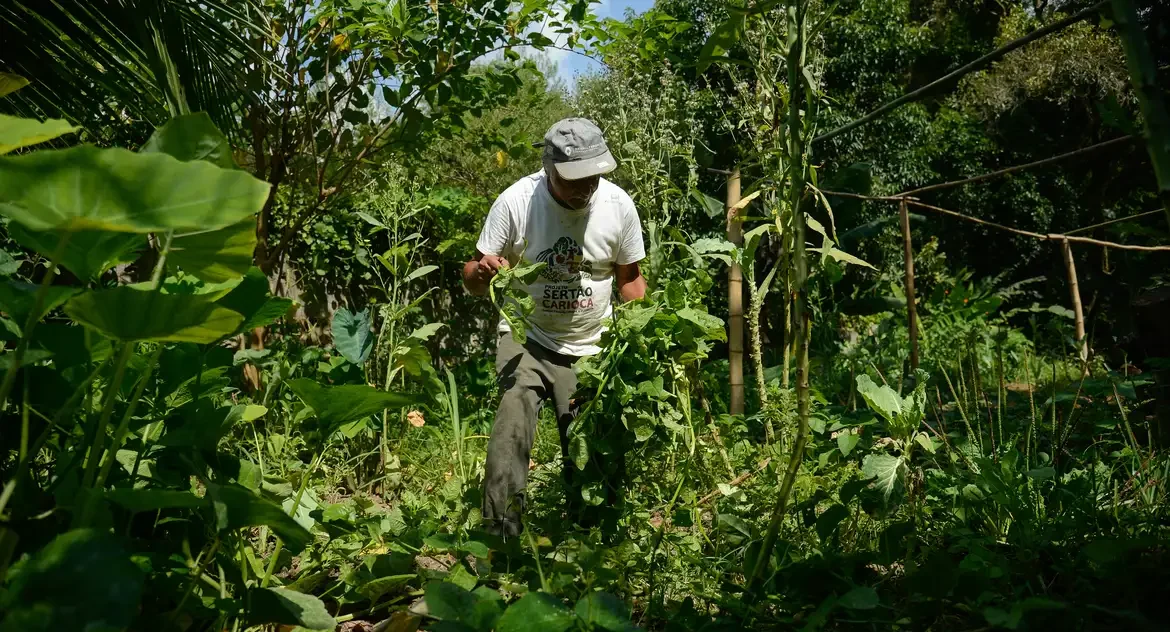 BNDES e Fundação Banco do Brasil anunciam R$ 85 milhões em investimentos para fortalecer Agricultura Familiar Agroecológica