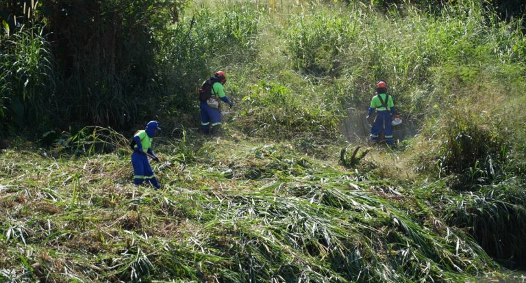 Mais de 500 proprietários de terrenos abandonados foram notificados pela Prefeitura em 2025